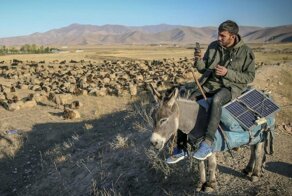 Подборка интересных и веселых картинок