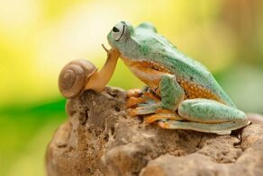 Красота в мелочах: лучшие фотографии с конкурса #Small2019