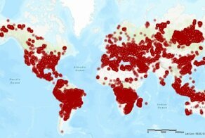 Лесные пожары и другие свежие новости с сарказмом ORIGINAL* 31/07/2019
