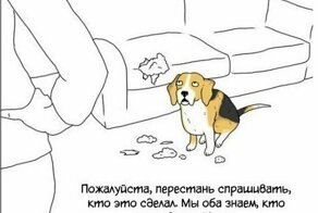 Если бы животные могли разговаривать: 25 смешных комиксов