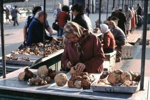 Фотографии эпохи СССР