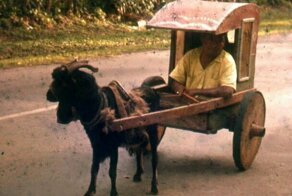 Как выглядела повседневная жизнь Никарагуа в 1950-х годах