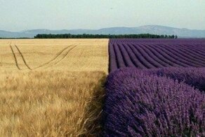 Неожиданные фотографии, которые стали такими благодаря контрастам