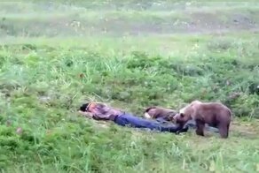 Любопытный медвежонок  разбудил отдыхающих на пляже мужчин