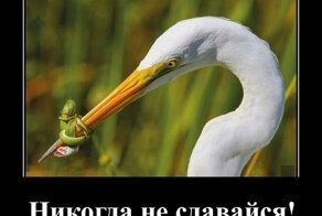 Порция зажигательных демов, сделанных с любовью