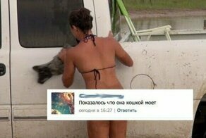 Комменты жгут: 15 раз, когда искрометные замечания пользователей оказались круче постов