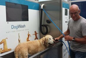 "Душевая" для собак появилась на обычной автомойке в Нидерландах