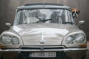 Фотограф из Бельгии снимает собак и винтажные автомобили. Получается очень органично!