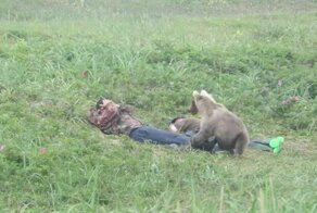 На Камчатке медвежонок застал спящих рыбаков врасплох