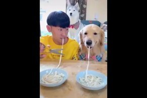 Кто быстрее съест лапшу?