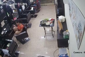 Игравший с котом пёс подкинул хозяйке работы