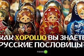 Тест: Как хорошо вы знаете русские пословицы?