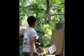 Мальчик, которого лучше не злить при игре в карты 