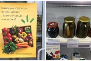 Уральский бизнесмен поможет пенсионерам продавать через магазин овощи и закрутки