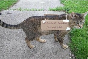 Смешные объявления