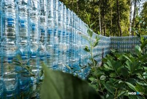 Король полторашек: новосибирец построил стену из пластиковых бутылок из-под «Карачинской»