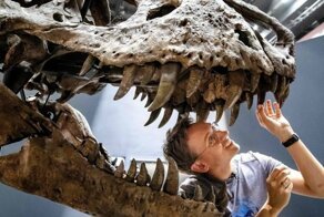 Свежая коллекция интересных фотографий за 13.08.2019