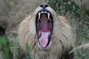 С добрым утром!