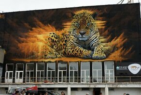 Граффити Владивостока