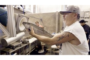 Рыбопровод