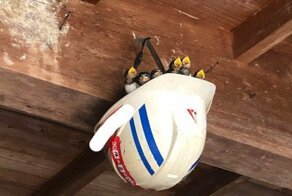 Свежая коллекция интересных фотографий за 16.08.2019