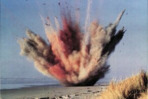 Взрывающиеся киты