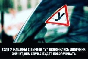15+ жизненных истин, которые внезапно открылись для пользователей сети