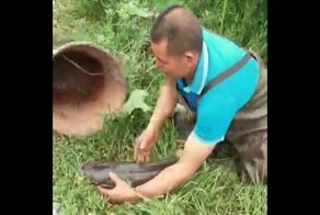 Оригинальный способ ловли сома