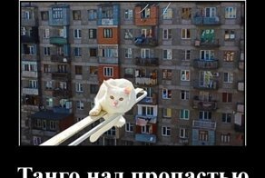 Демотиваторы, от которых у вас улучшится настроение