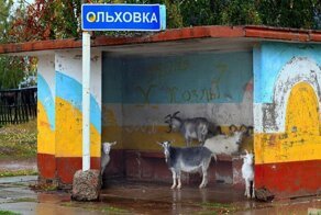 Что происходит в наших городах? Нечто странное