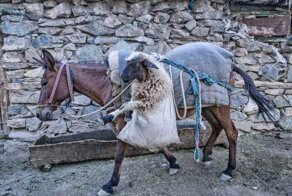 Показалось: 17 фотографий-иллюзий, которые обманут ваше зрение