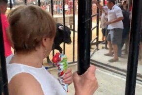 Адреналиновый наркоман в последний момент скрылся от быка 