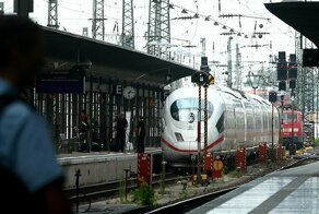 «Образцовый приезжий»