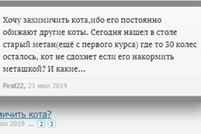 Тупой и еще тупее: 15 примеров человеческой недальновидности и глупости