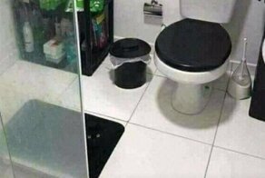 Кота найти не так уж просто