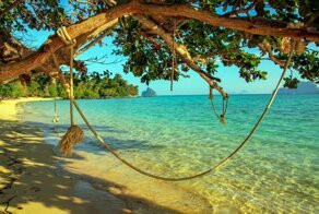 5 потрясающих пляжей, где вас обязательно съедят... или убьют