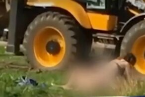 Влюбленные москвичи занялись сексом в парке, не стесняясь отдыхающих