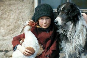 50 лучших работ румынского фотоколориста Jecinci