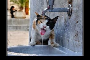 Демотиваторы, которые вы еще не видели