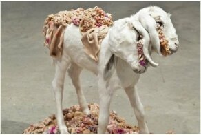 Современное искусство: приведите меня в чувство