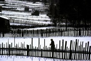 Талантливый репортер Берт Глинн