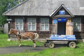 Повсюду кони!