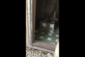 Незваный гость в дачном туалете напугал женщину
