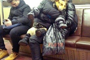 15 странных ситуаций, происходящее на которых почему-то никого не смущает