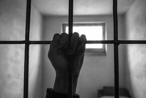 Предтюремная агония. Хроники адвоката-криминалиста