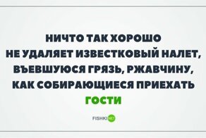 Мистер Пропер офанарел бы от этой подборки