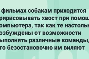 20  фактов обо всем на свете, которые потрясут вас до глубины души