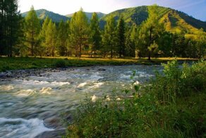 Пейзажи республики Алтай