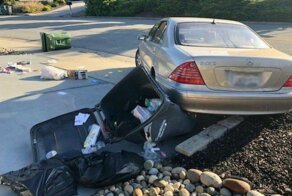 Собака случайно угнала Mercedes-Benz и устроила аварию