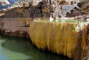 Красивая тыква в Гранд-Каньоне с ядовитой начинкой